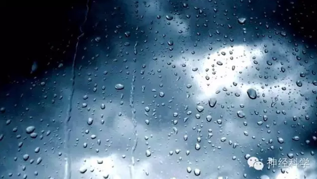 为什么下雨天里的睡眠质量特别好？